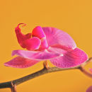 b 001